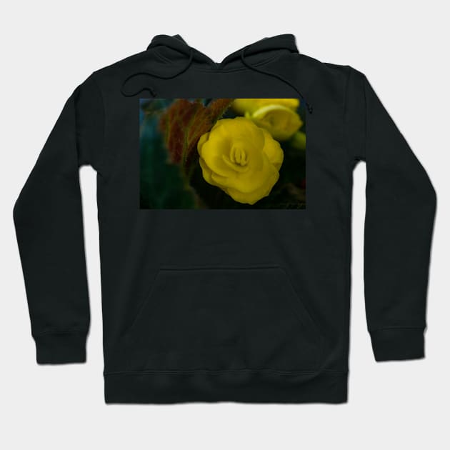 Smell the flowers Hoodie by CanadianWild418